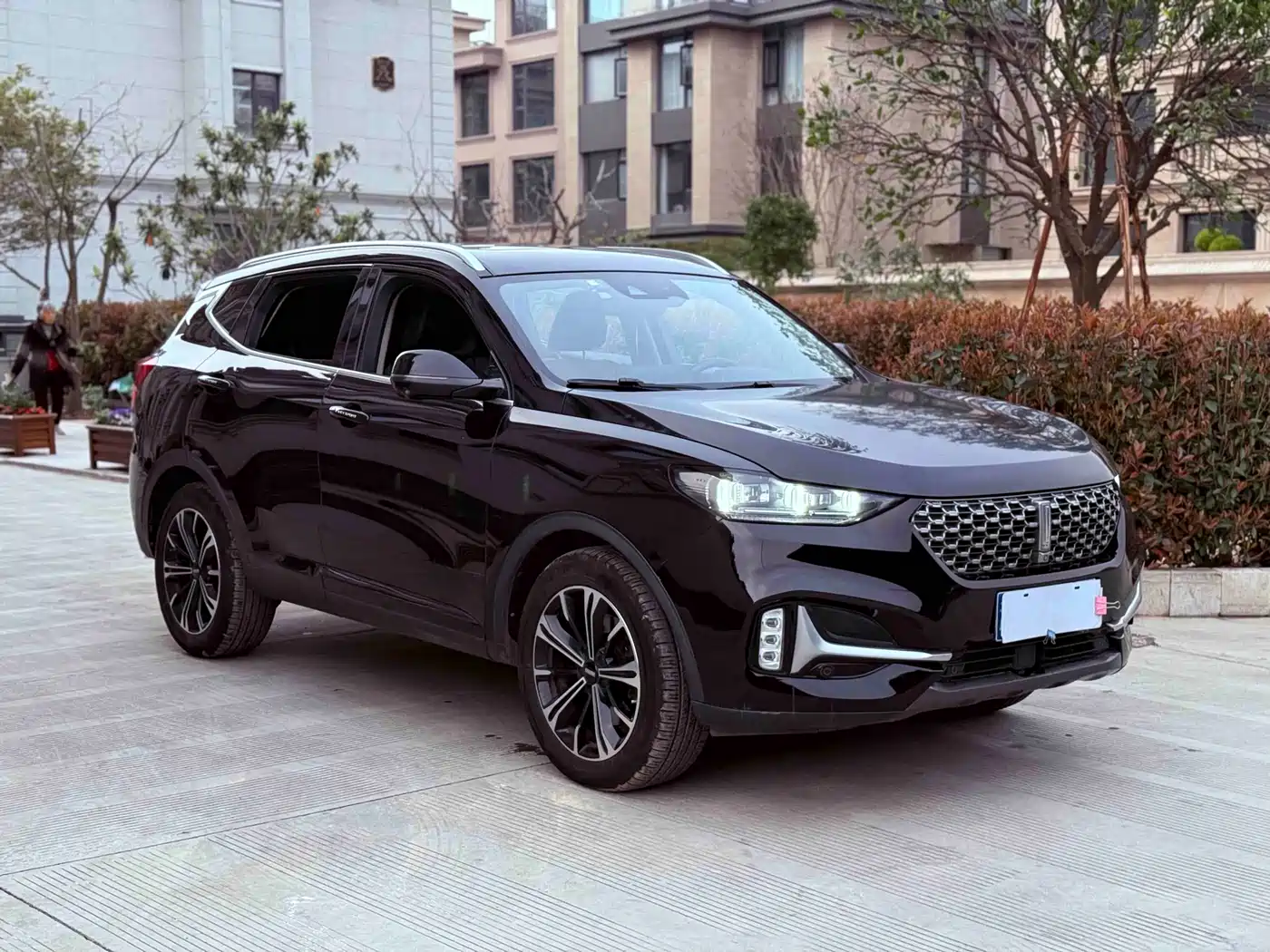 Фото 3 - WEY VV6