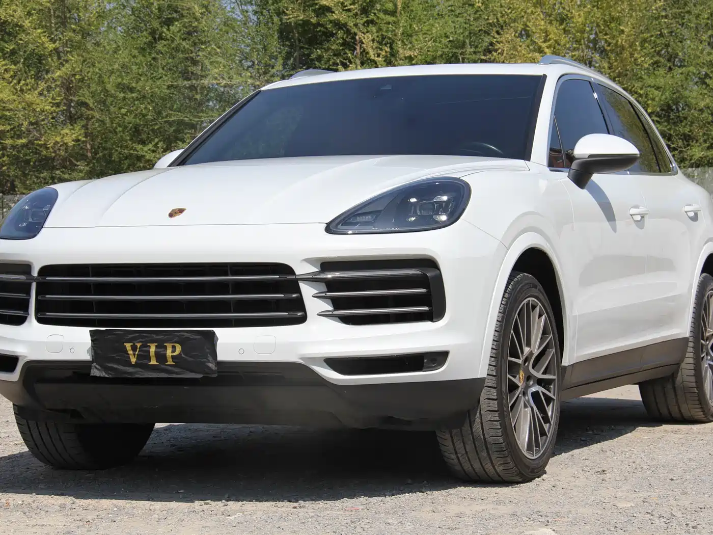 Porsche Cayenne 2019 Cayenne 3.0T фото 2