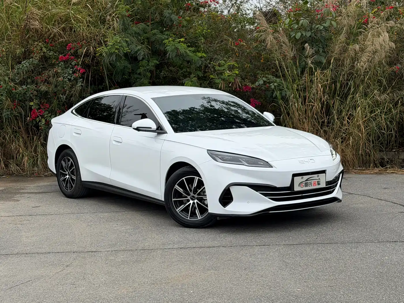 BYD SEAL 06 NEW ENERGY