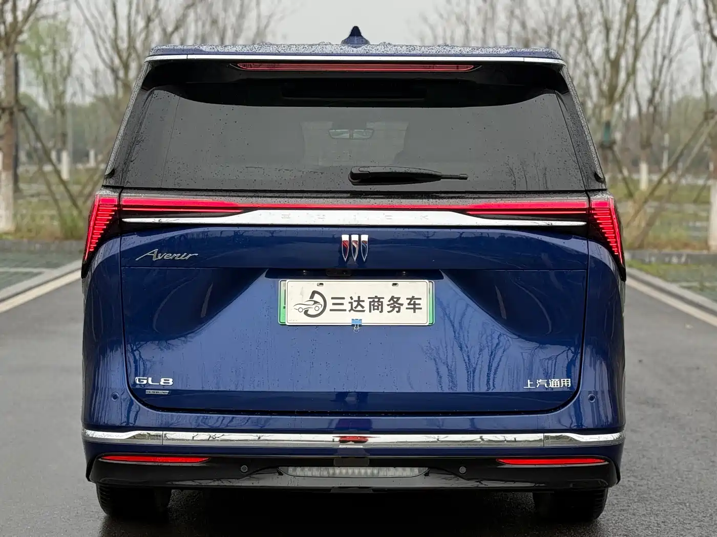 BUICK GL8 NEW ENERGY