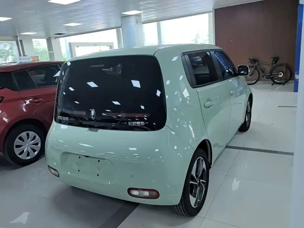 Ora White Cat 2021 2022 Upgraded 305km Luxury (NMC)