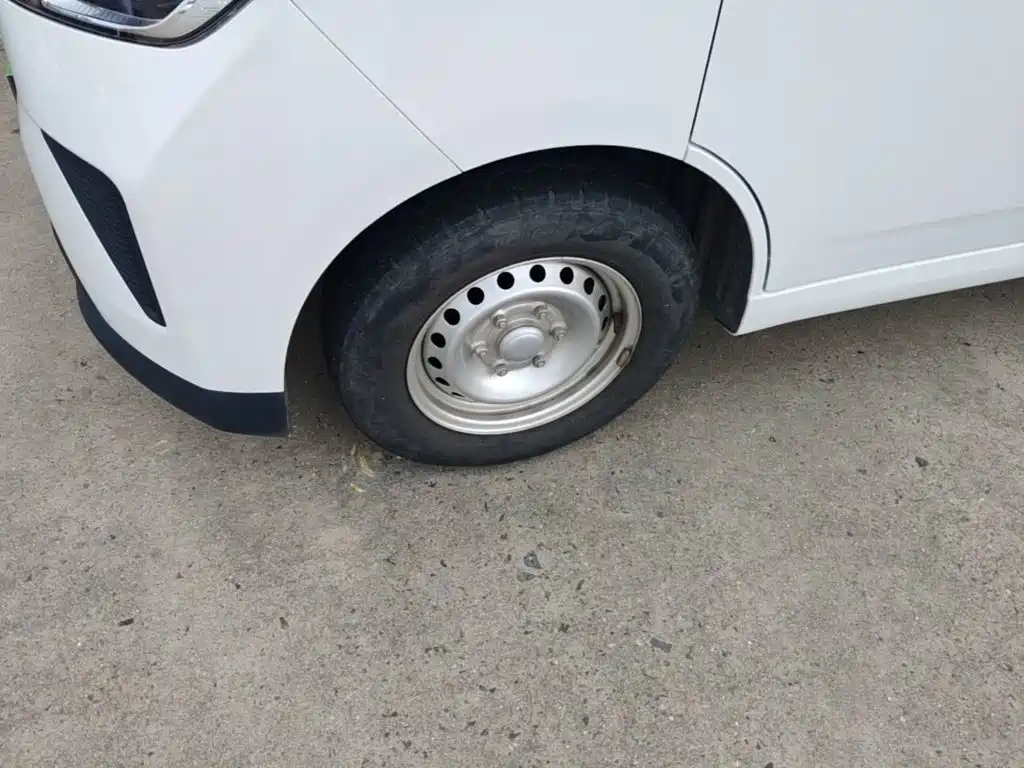 Wuling Motors Wuling Yangguang 2025 2024 300KM Comfort Bus Version 75kW
