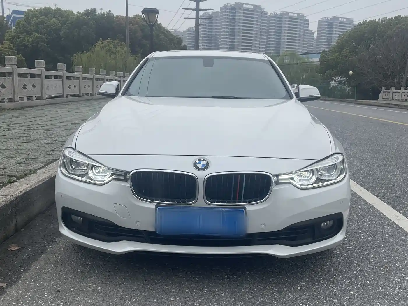 BMW 3 Series 2018 318Li фото 2