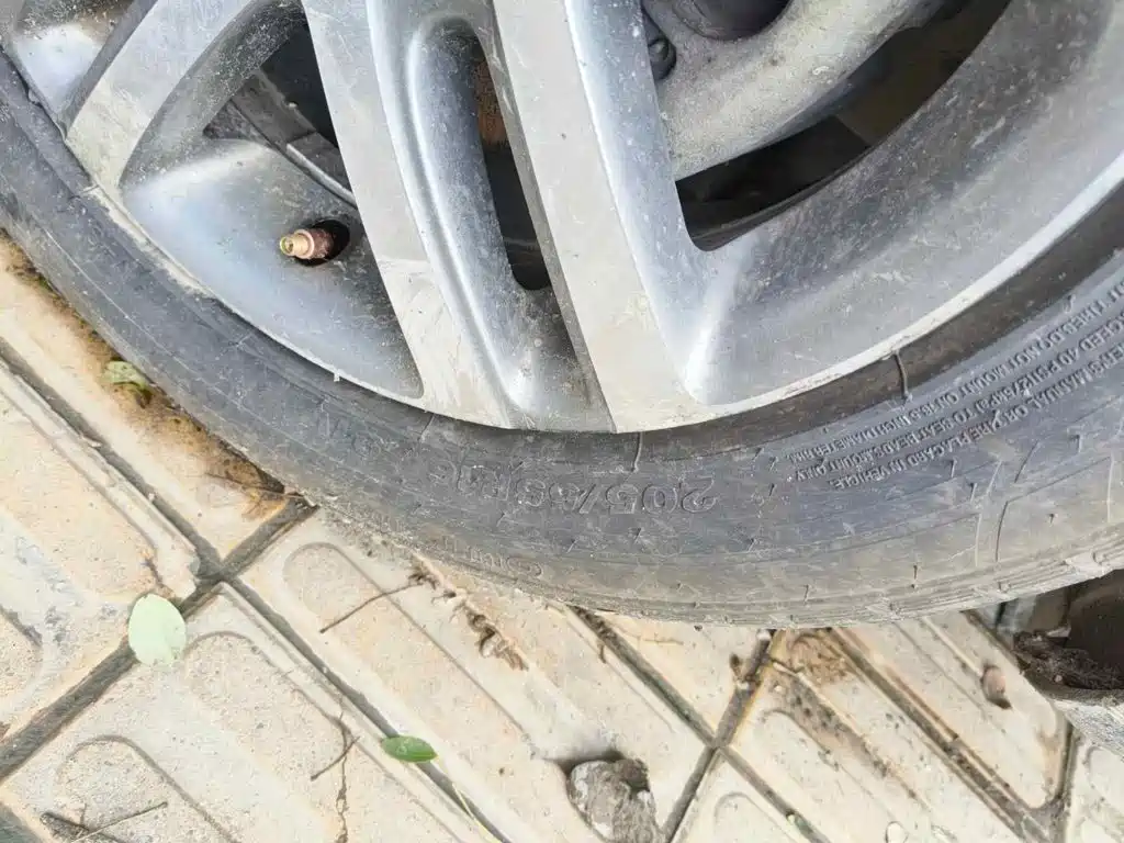 Фото 7 - Volkswagen Sagitar