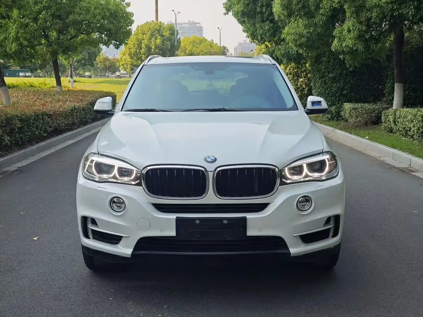 BMW X5 (Import) 2014 xDrive35i Leading фото 2
