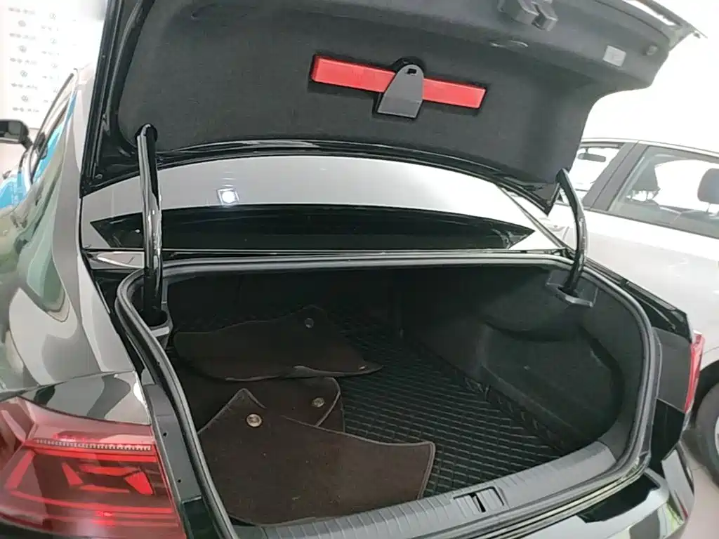 Volkswagen Magotan 2026 2026 Model 30 Million Special Selection 380TSI DSG Luxury