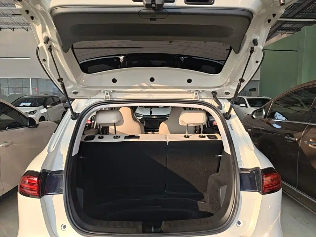 Wuling Motors Wuling Binguo PLUS 2025 2024 Model 330km 5-Seater