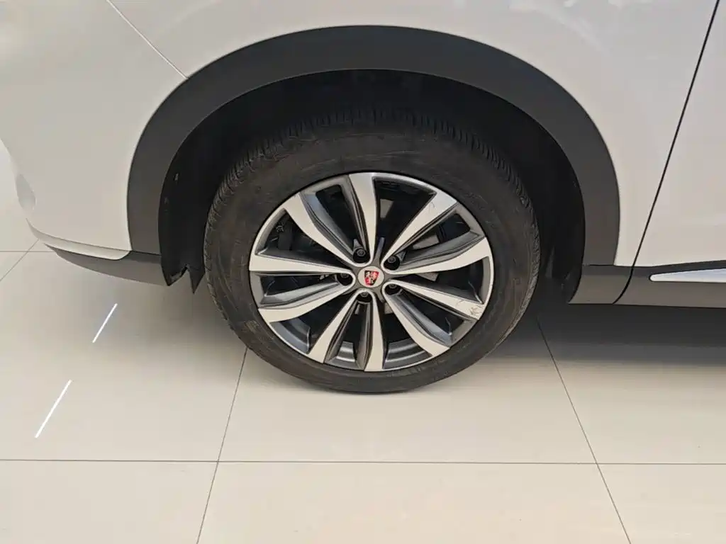 Фото 23 - Roewe RX5 MAX