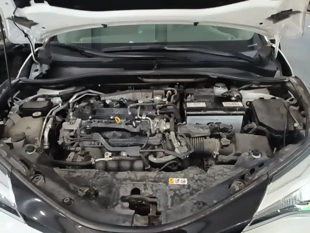 Toyota IZOA 2021 2021 2.0L Yixiang Edition