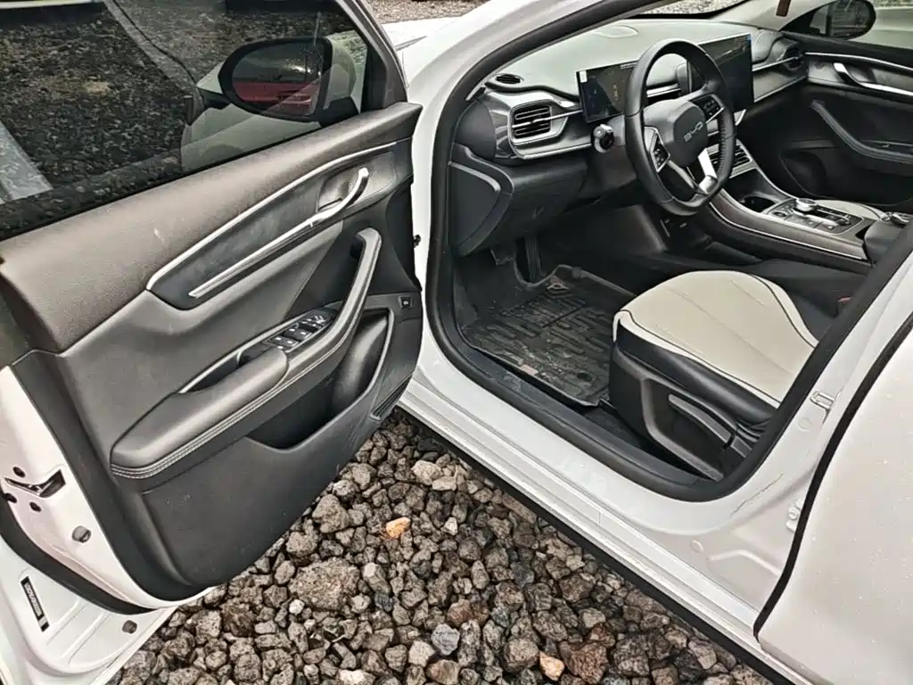 BYD Destroyer 05 2025 2024 Glory Edition DM-i 55KM Luxury