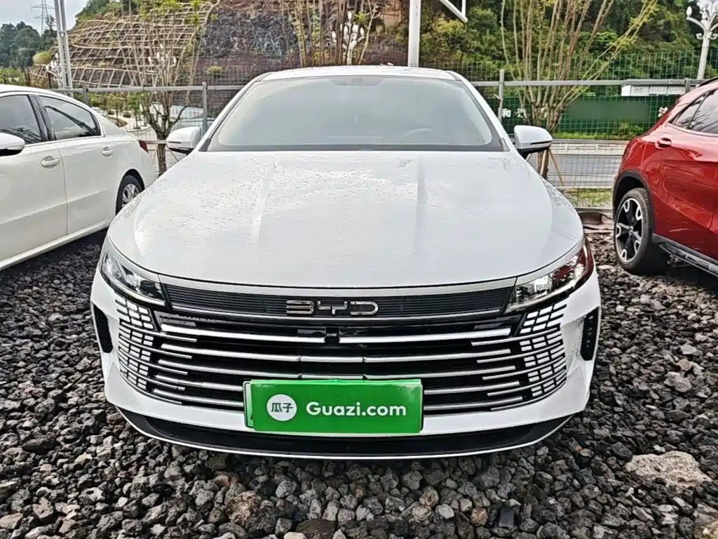 BYD Destroyer 05 2025 2024 Glory Edition DM-i 55KM Luxury