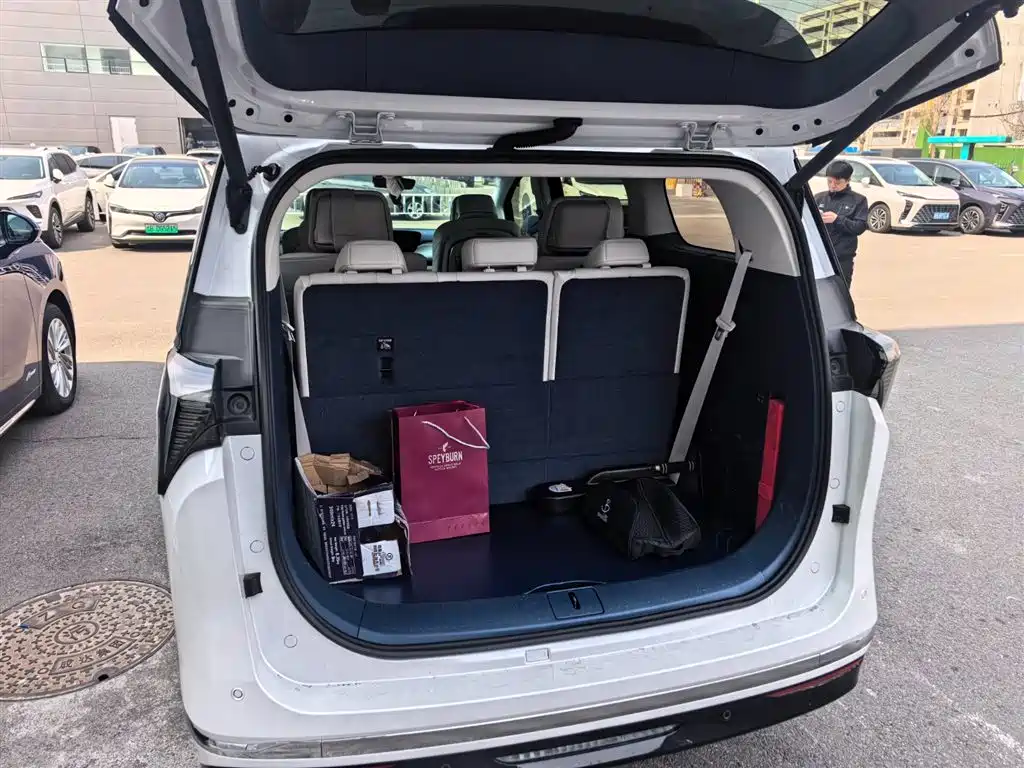 BUICK GL8 NEW ENERGY