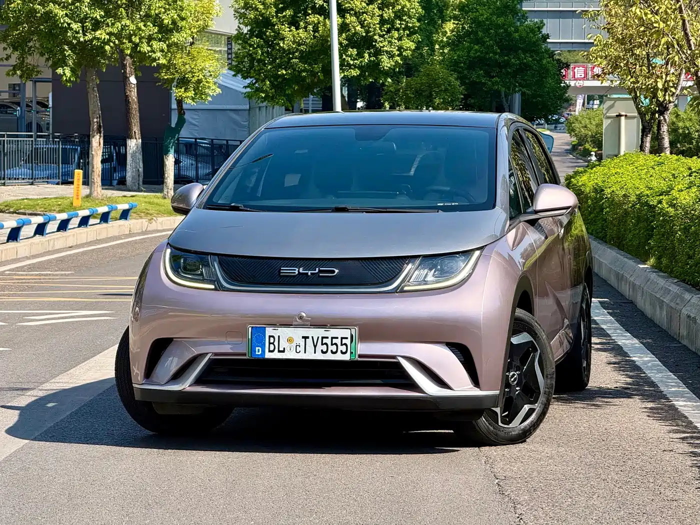 Фото 1 - BYD Dolphin