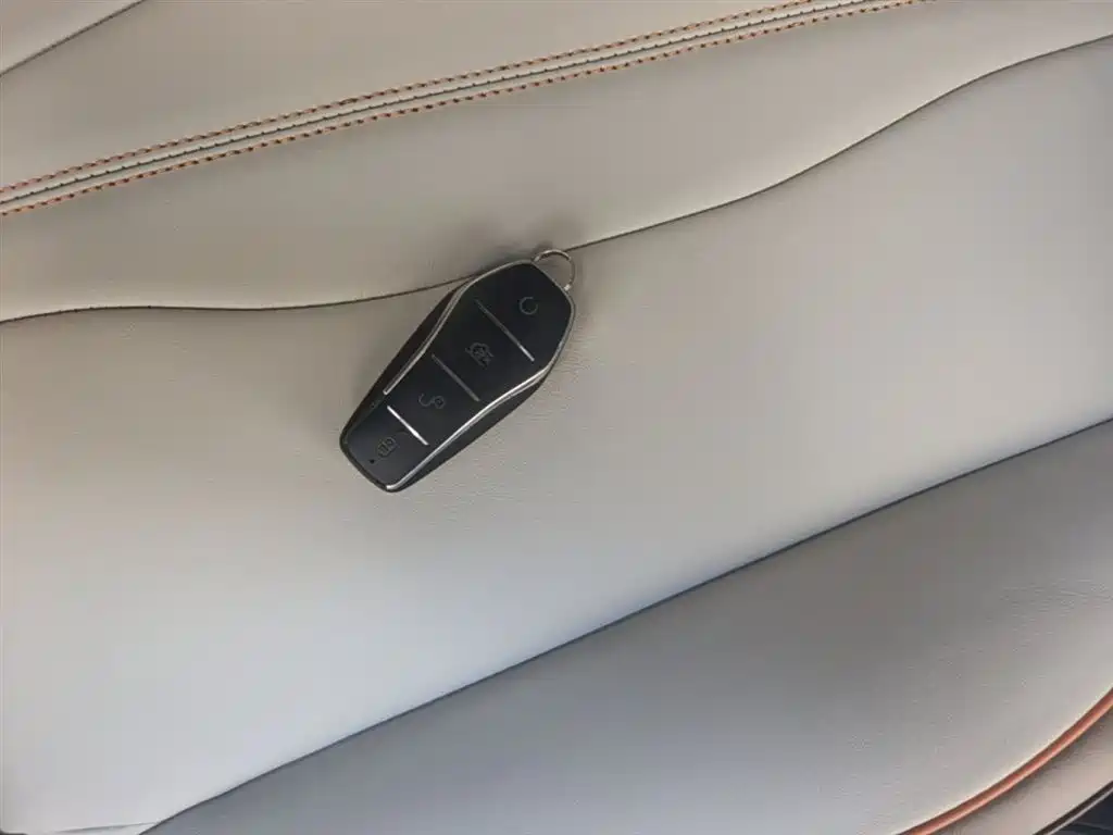 BYD Song Pro New Energy 2022 DM-i 51km Luxury фото 9
