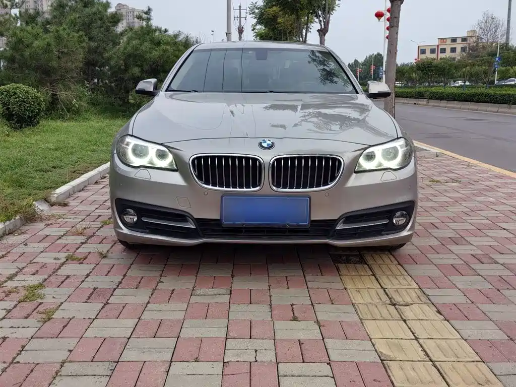 BMW 5 Series 2017 520Li Classic Edition фото 7