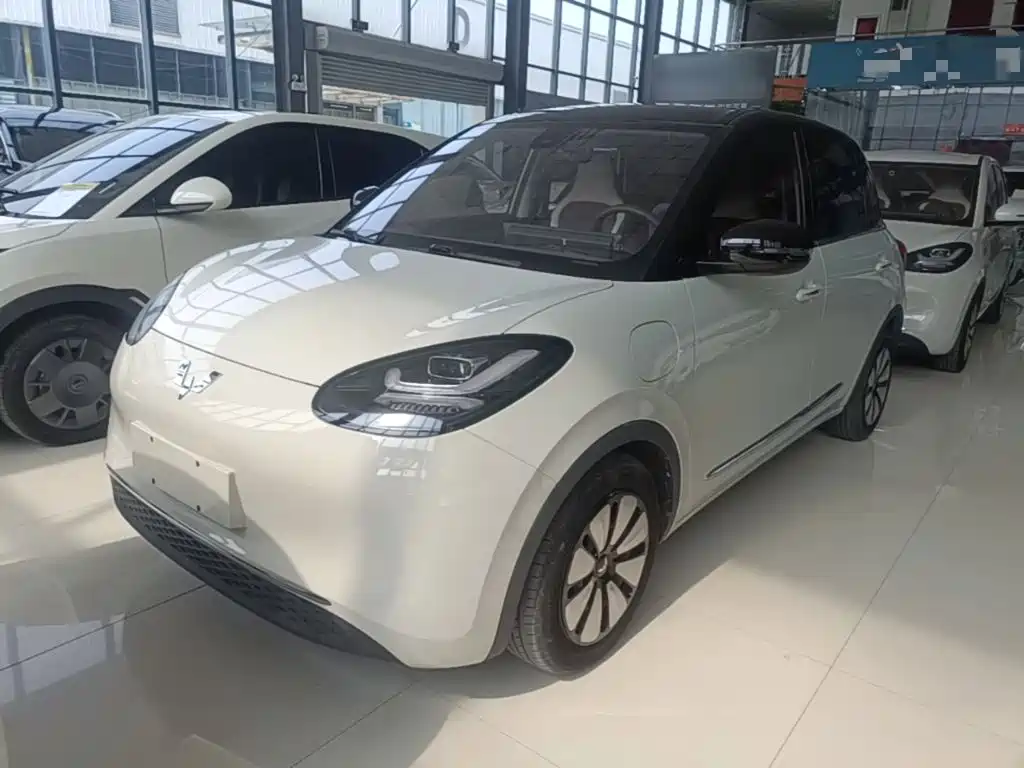 Wuling Motors Wuling Bingo 2023 2023 333km Joyful Version