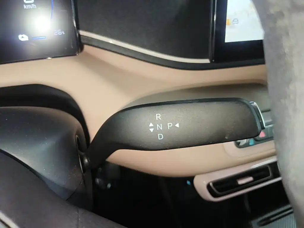 BYD Seagull 2026 2025 Smart Drive Edition 305km Vitality Version