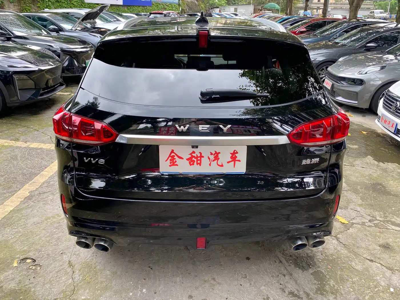 WEI PAI WEI BRAND VV6