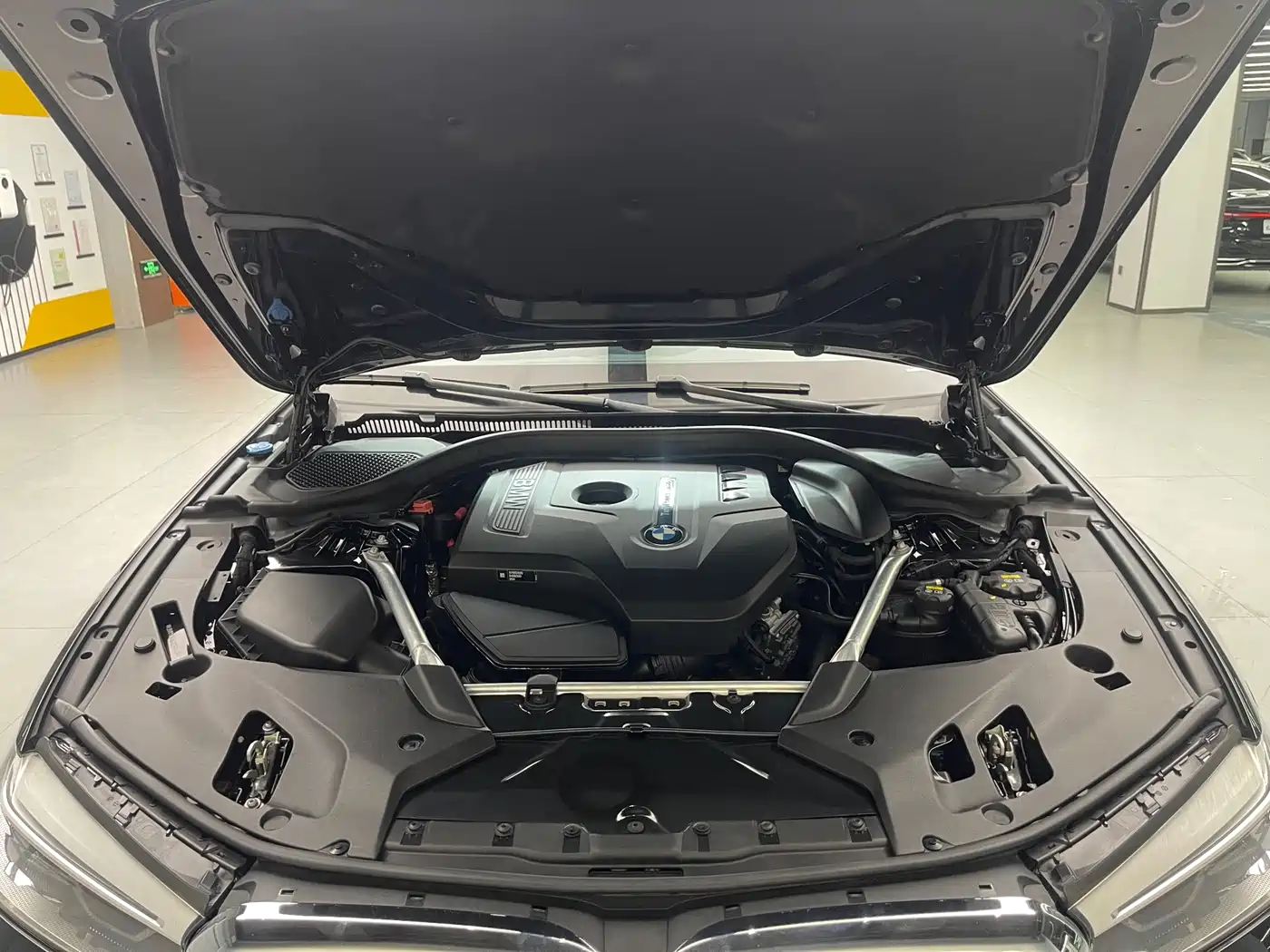 BMW 5 Series 2020 530Li Leading Luxury Package фото 26