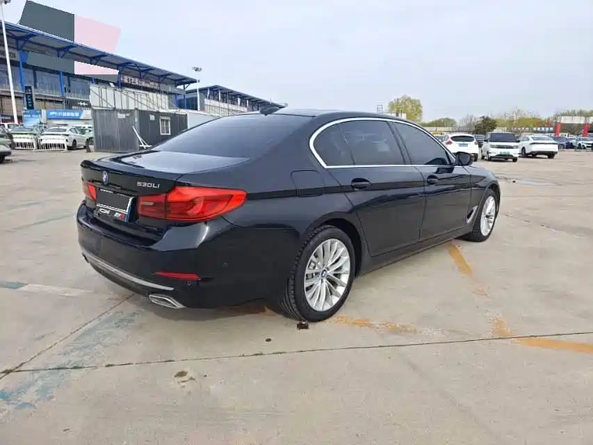 BMW 5 Series 2020 530Li xDrive Luxury Package фото 8