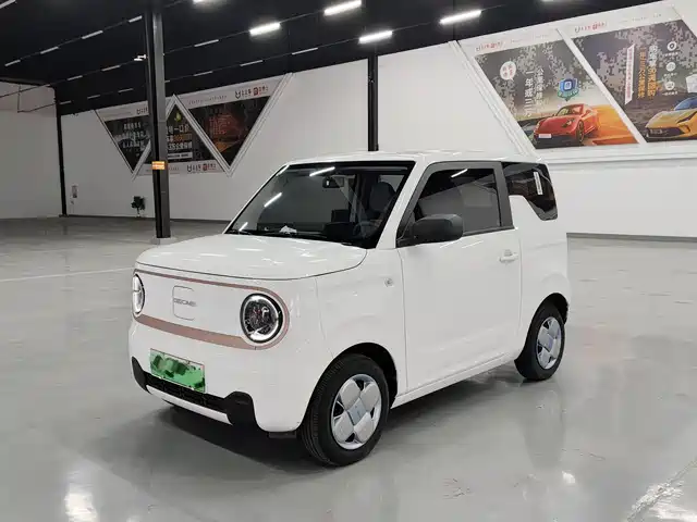 Geely Galaxy Panda 2024 Panda mini 200km Endurance Bear