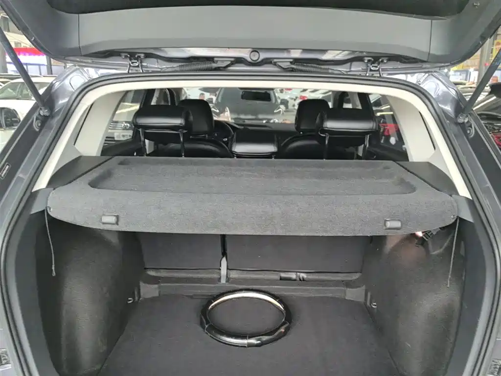 VOLKSWAGEN TUYUE