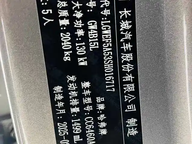 Haval Big Dog 2025 2024 1.5T DCT Border Collie Edition
