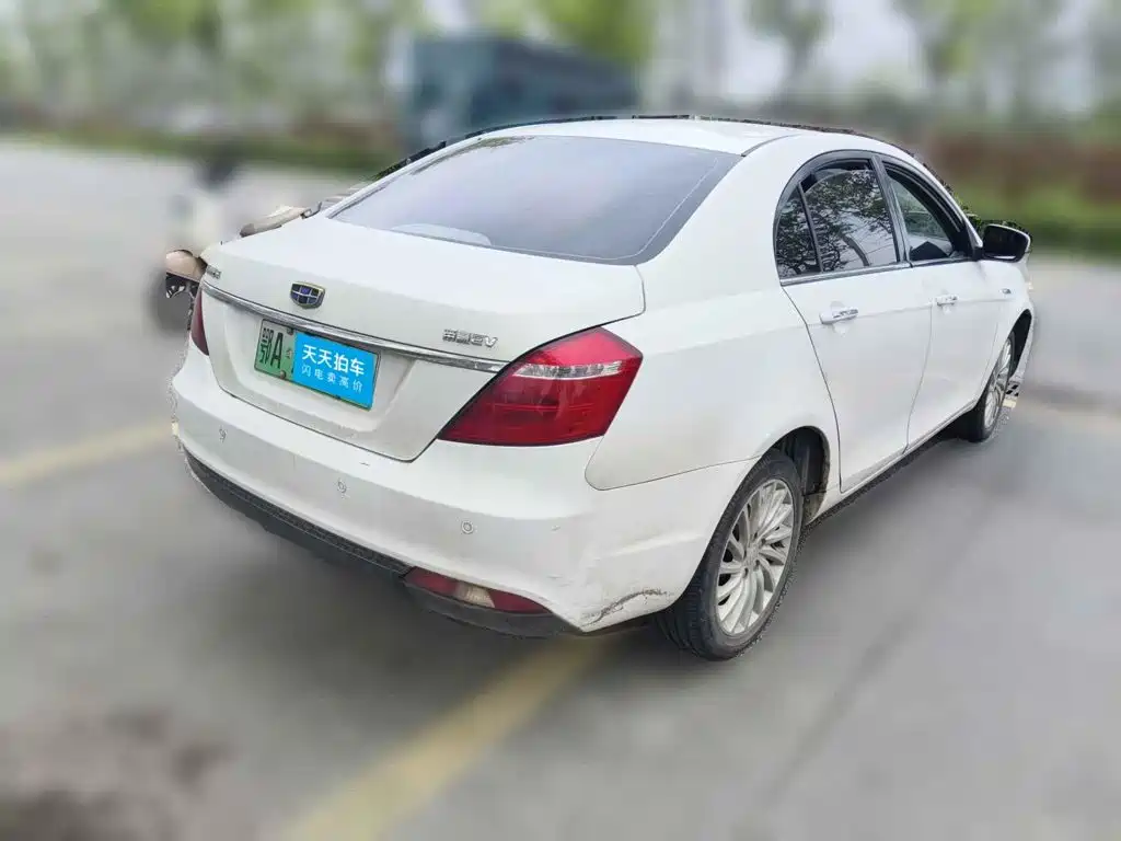 Geely Emgrand New Energy 2018 2017 EV300 Elite