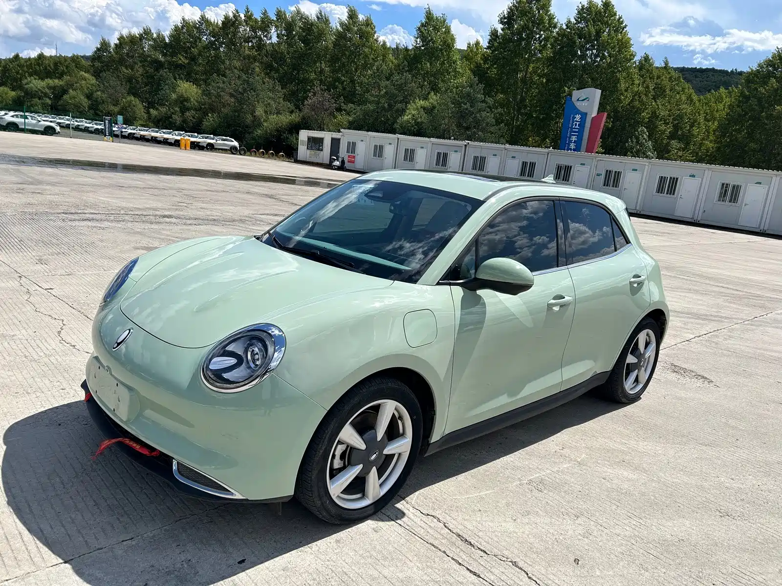 Photo 1 - Ora Good Cat