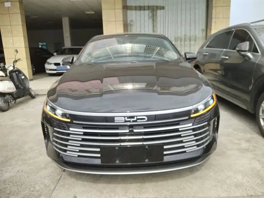 BYD Destroyer 05 2024 Glory Edition DM-i 55KM Luxury фото 3