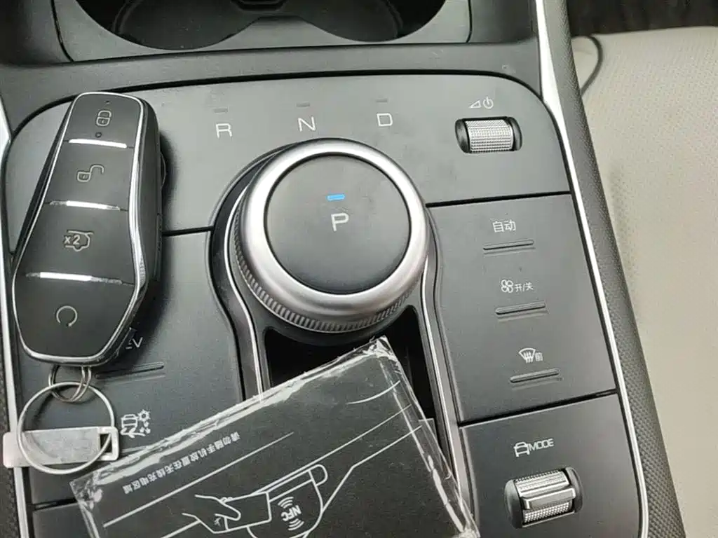 BYD Destroyer 05 2024 Glory Edition DM-i 55KM Luxury фото 14