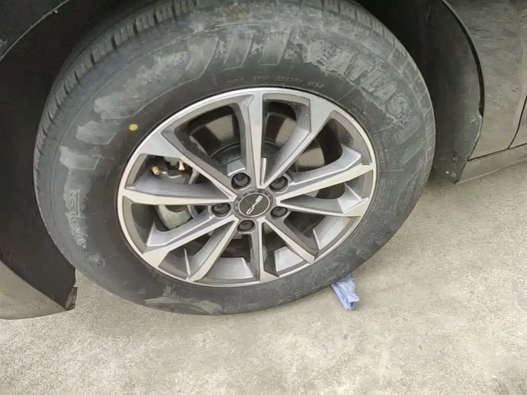 BYD Destroyer 05 2024 Glory Edition DM-i 55KM Luxury фото 23