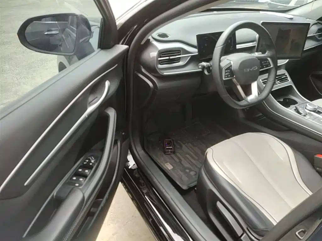 BYD Destroyer 05 2024 Glory Edition DM-i 55KM Luxury фото 16