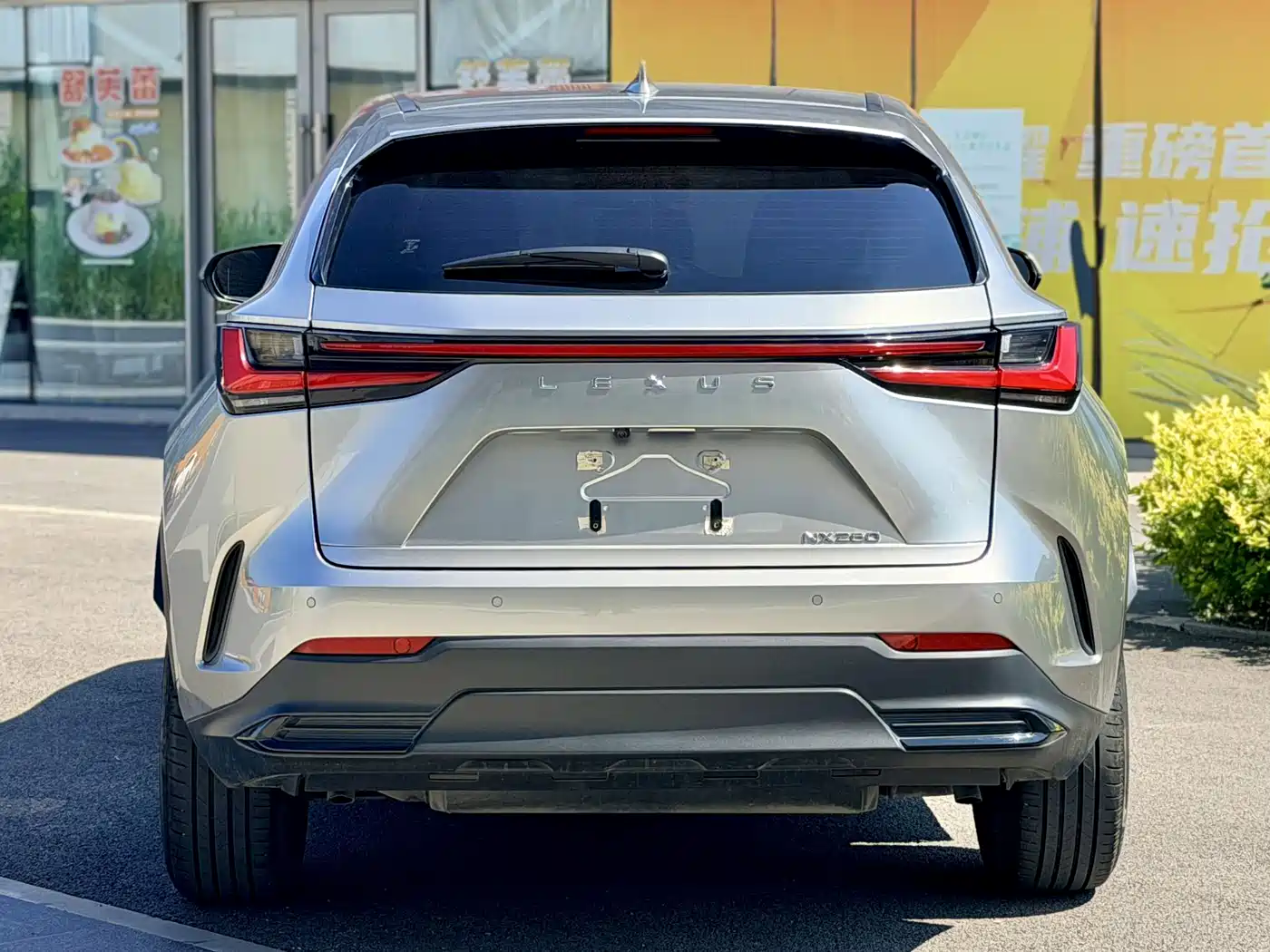 LEXUS NX
