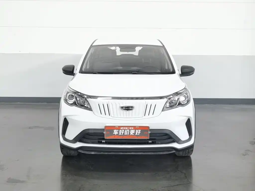 Geely Geometry EX3 Kung Fu Bull 2022 2021 Strong Bull