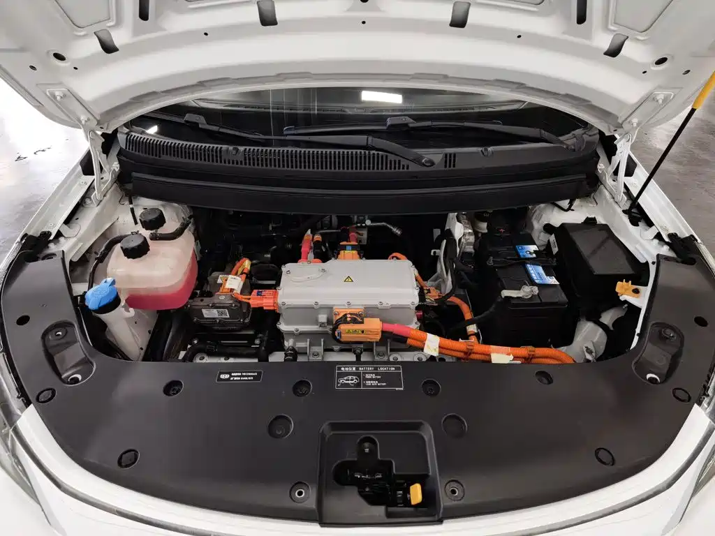 Geely Geometry EX3 Kung Fu Bull 2022 2021 Strong Bull