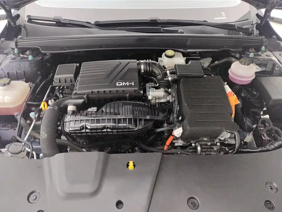 BYD Destroyer 05 2024 Glory Edition DM-i 55KM Luxury фото 9