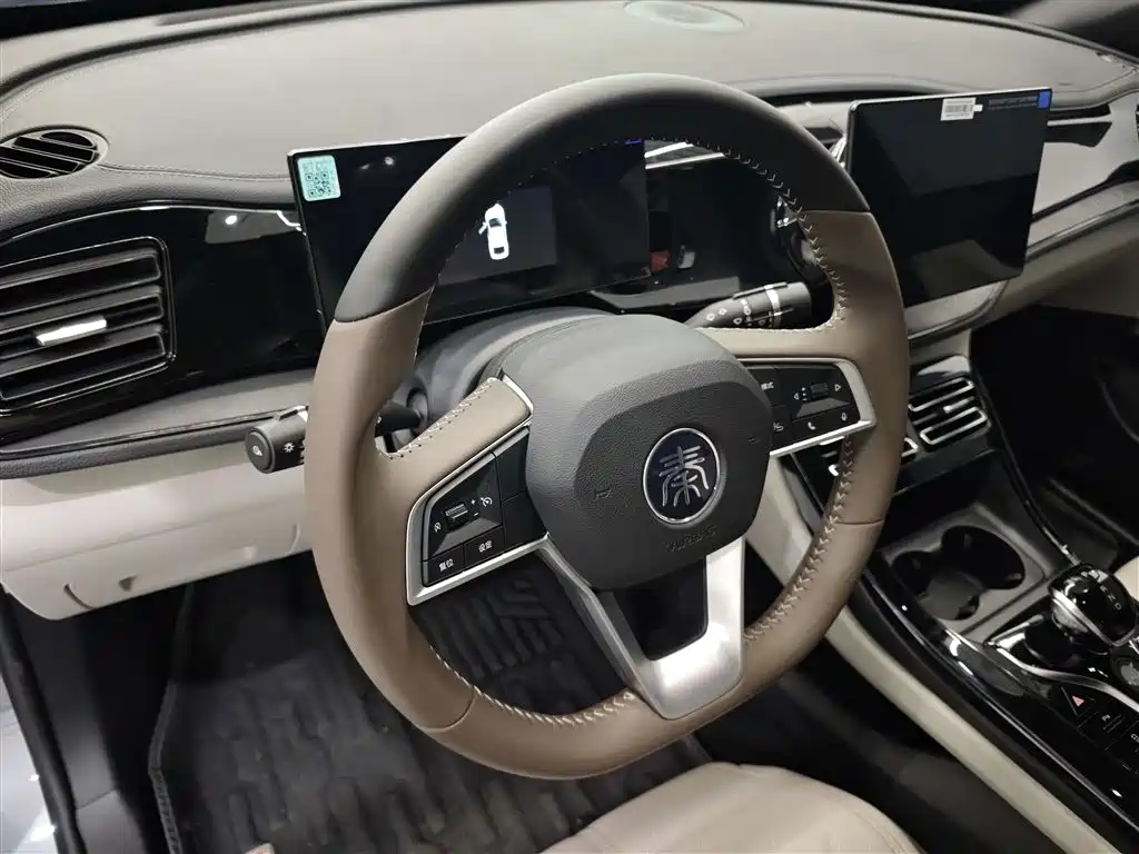 BYD Qin PLUS 2024 Glory Edition DM-i 55KM Leading фото 12
