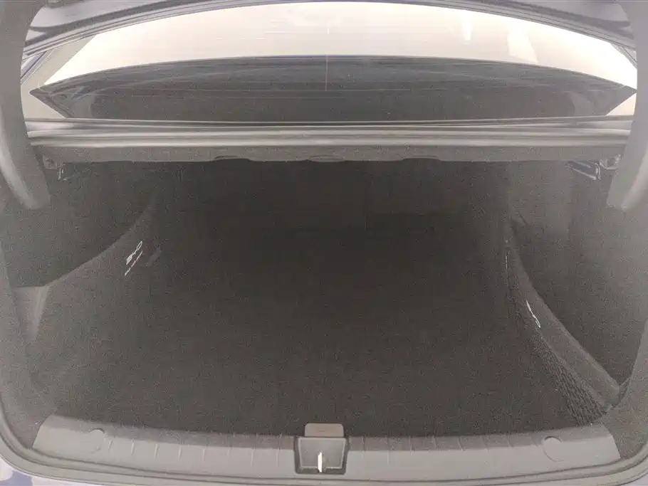BYD Destroyer 05 2024 Glory Edition DM-i 55KM Luxury фото 4