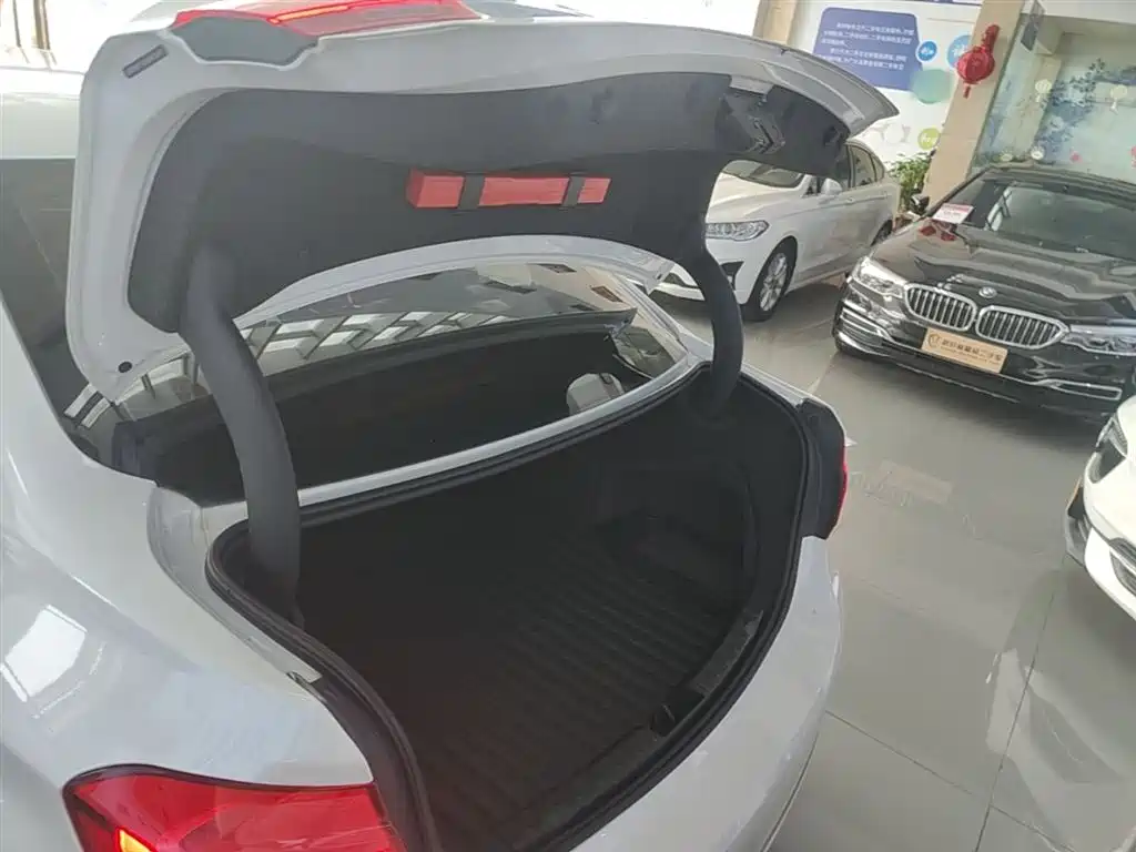 BMW 3 Series 2018 318Li фото 19