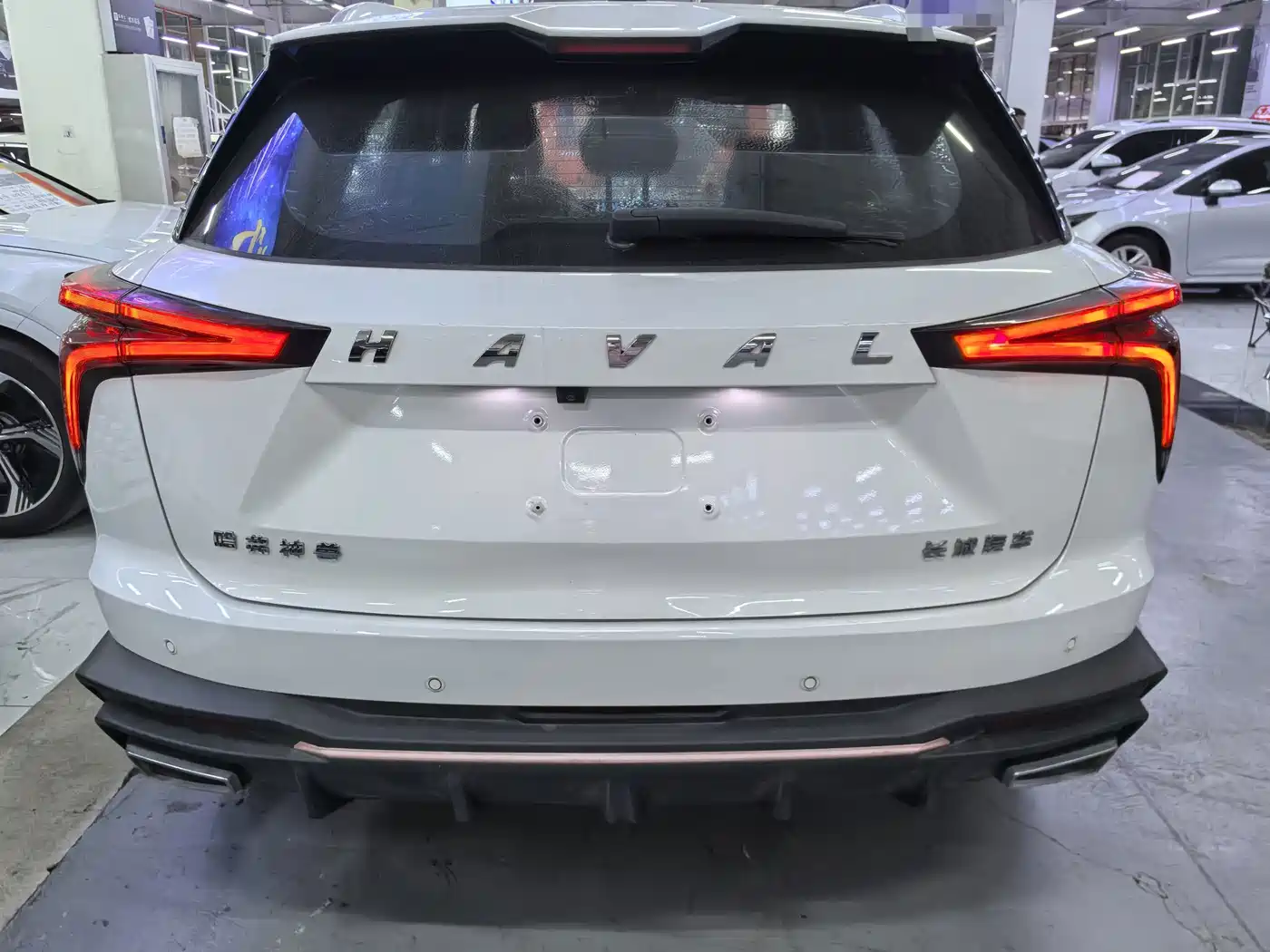 Haval Shenshou 2022 2022 1.5T Smart Leader Edition