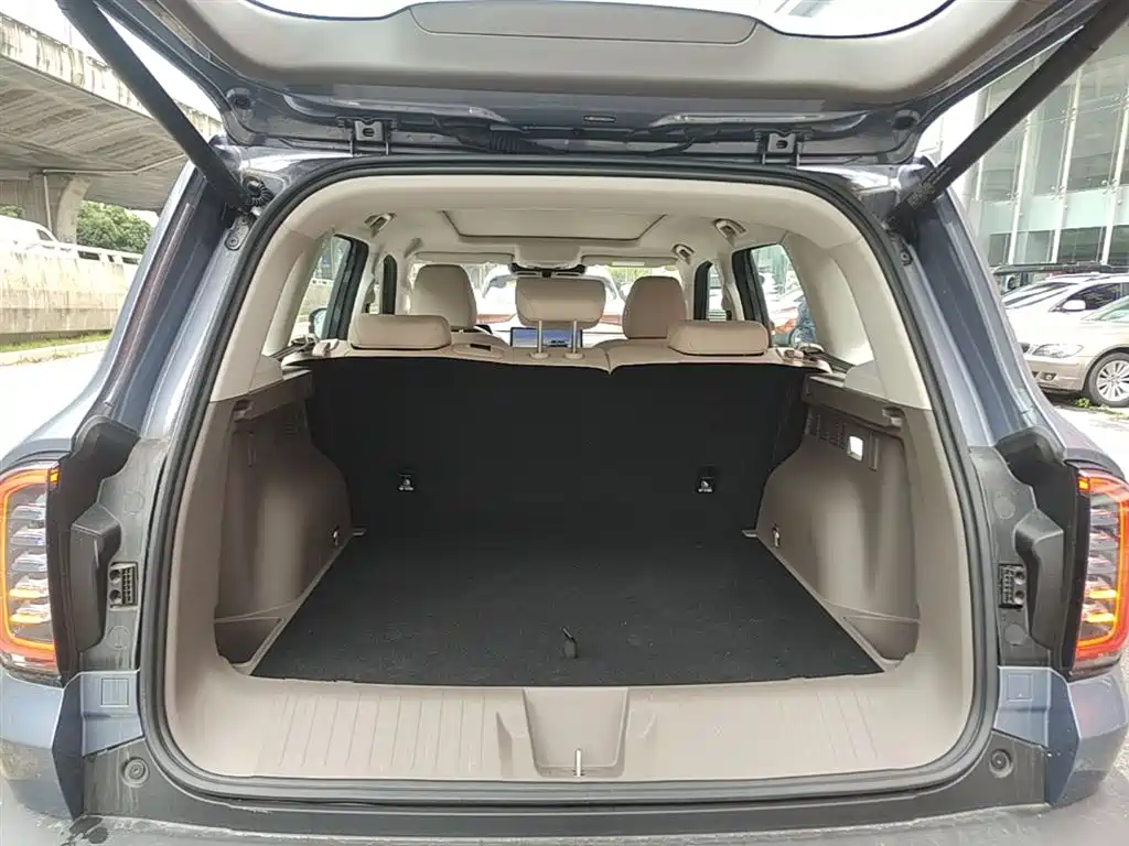 Haval Big Dog 2024 1.5T DCT Border Collie Edition фото 19