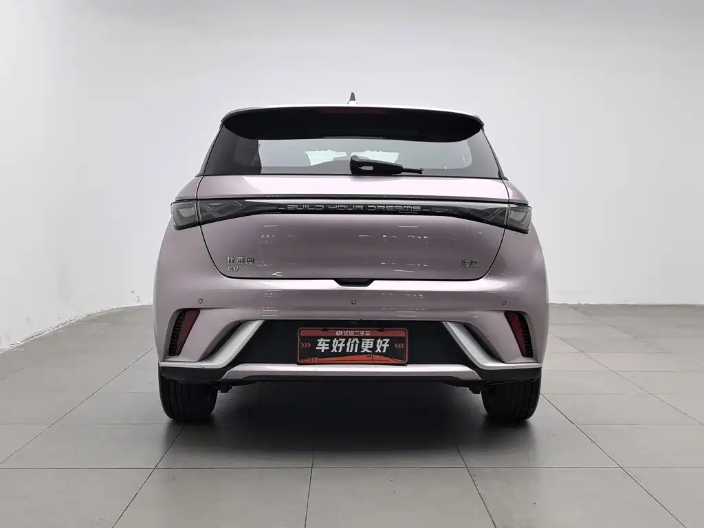 Фото 4 - BYD Dolphin