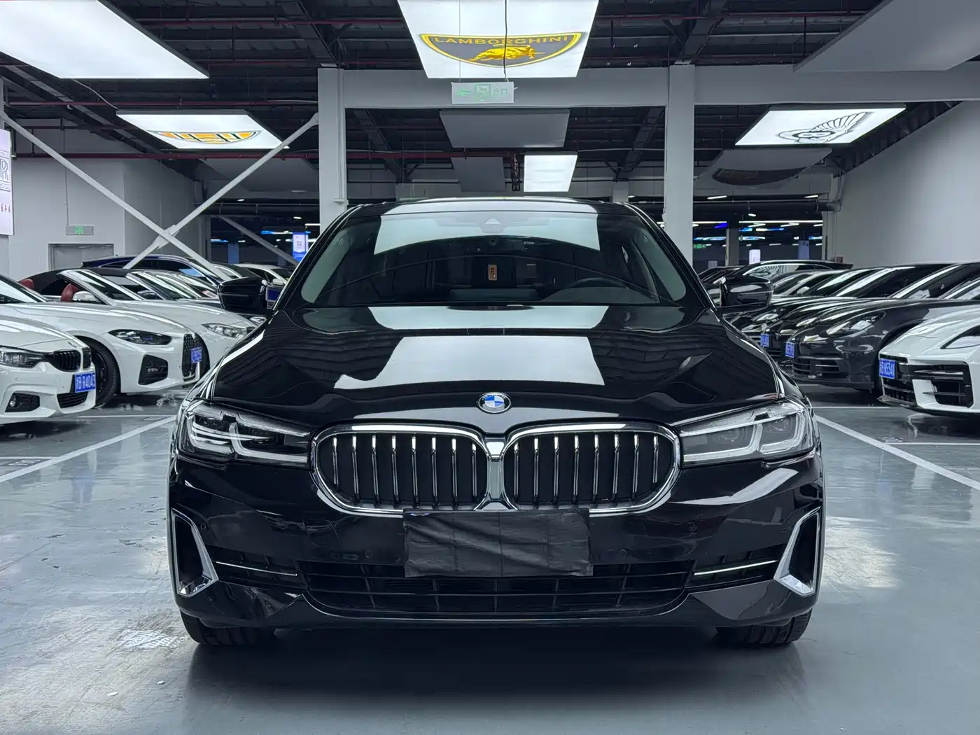 BMW 5 Series 2022 530Li Leading Luxury Package фото 2