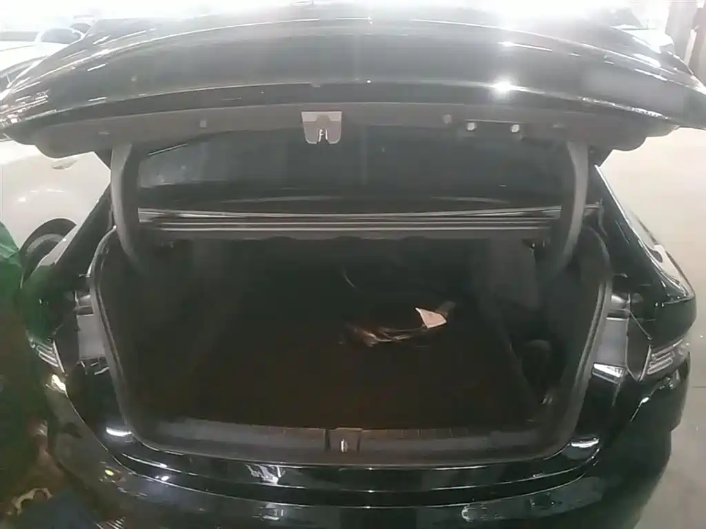 BYD Destroyer 05 2024 Glory Edition DM-i 55KM Luxury фото 19