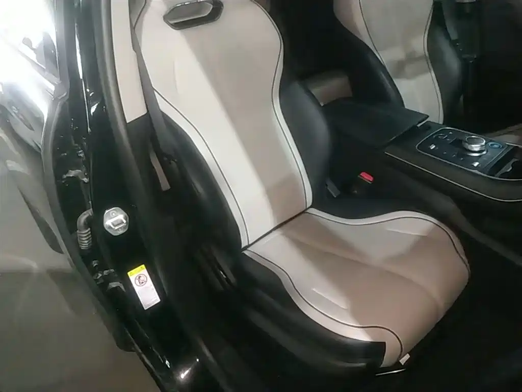 BYD Destroyer 05 2024 Glory Edition DM-i 55KM Luxury фото 25