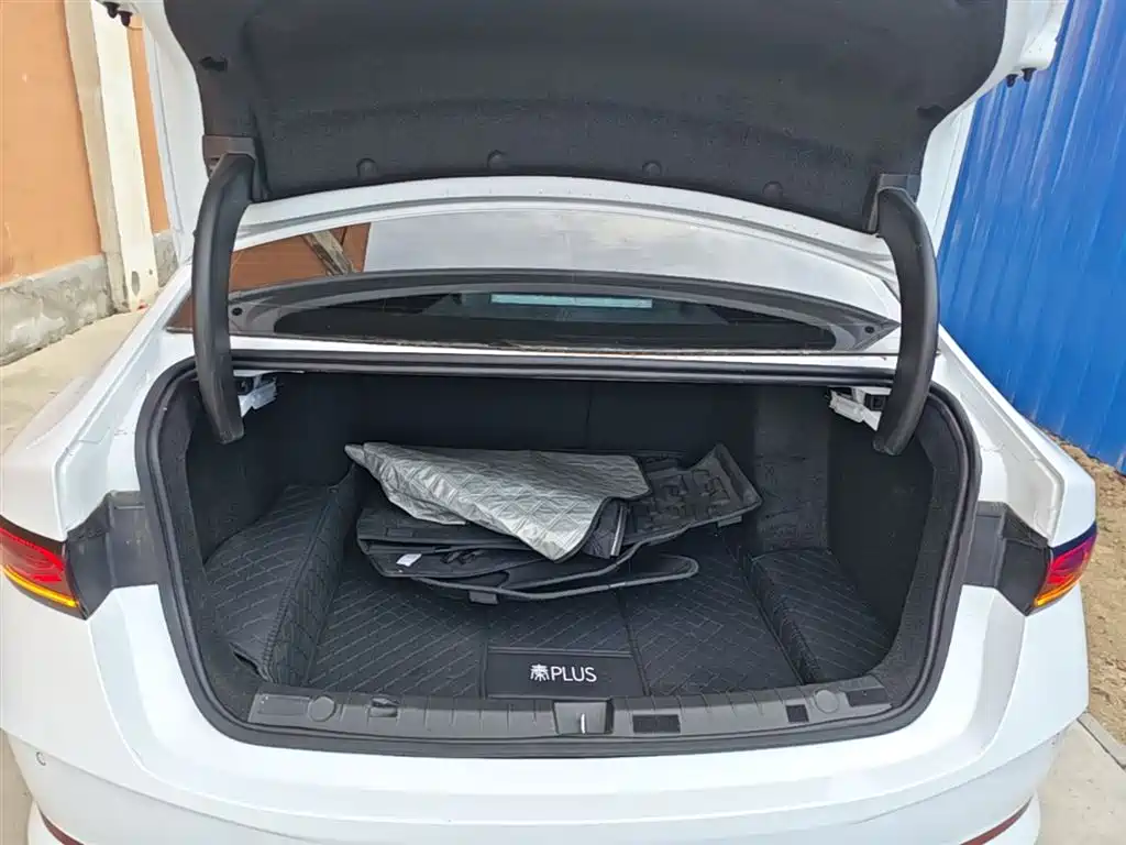 BYD Qin PLUS 2025 DM-i Smart Drive 55KM Leader фото 19