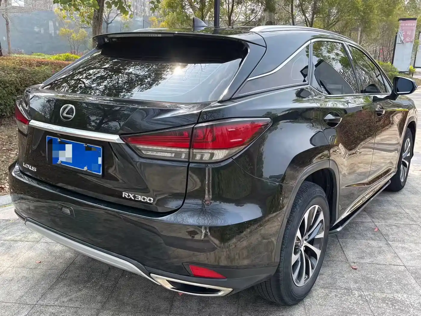 LEXUS RX