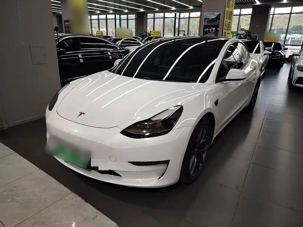 Tesla Model 3 2021 Performance High-Performance All-Wheel Drive