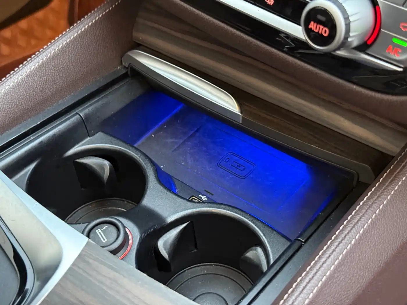 BMW 5 Series 2019 530Li Leading Luxury Package фото 8